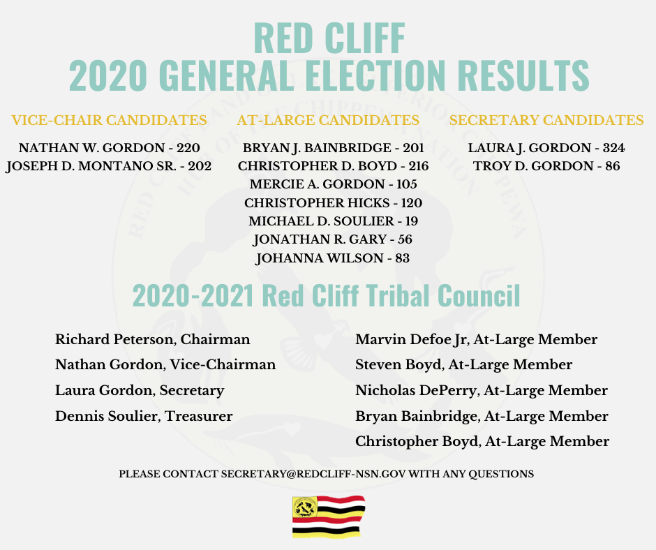 General Election Results 2020 (1)